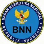 bnn logo